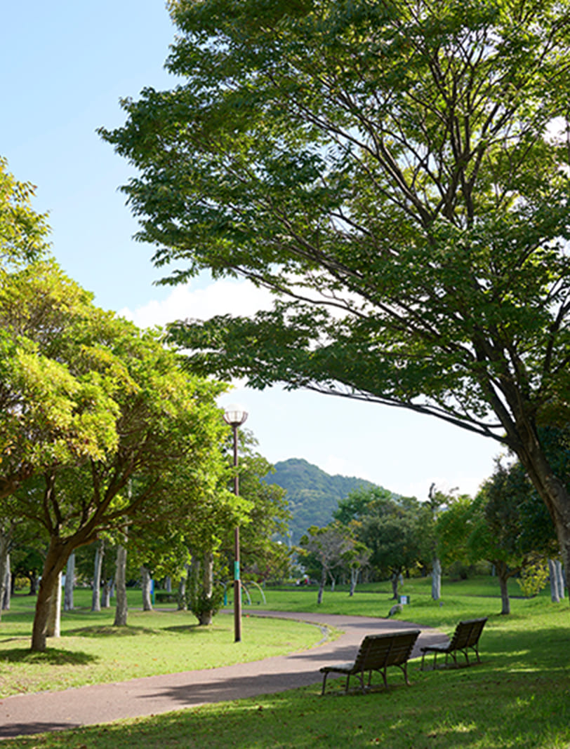 今津運動公園