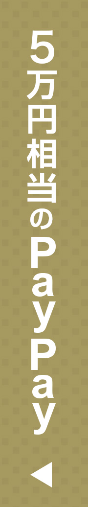 PayPayバナー