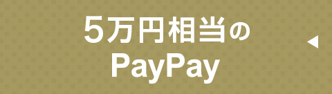PayPayバナー