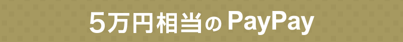 PayPayバナー
